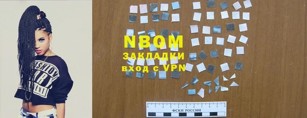 стаф Алзамай