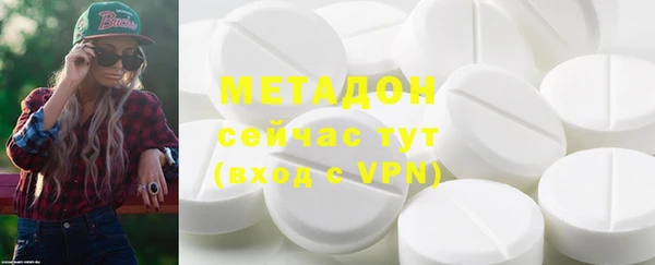 стаф Алзамай