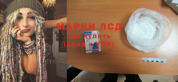 стаф Алзамай