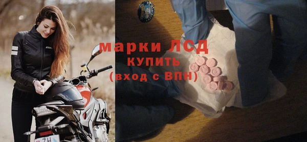 стаф Алзамай