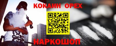 МДПВ Кингисепп