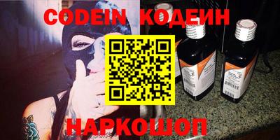 МДПВ Кингисепп