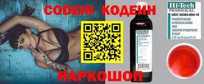 МДПВ Кингисепп