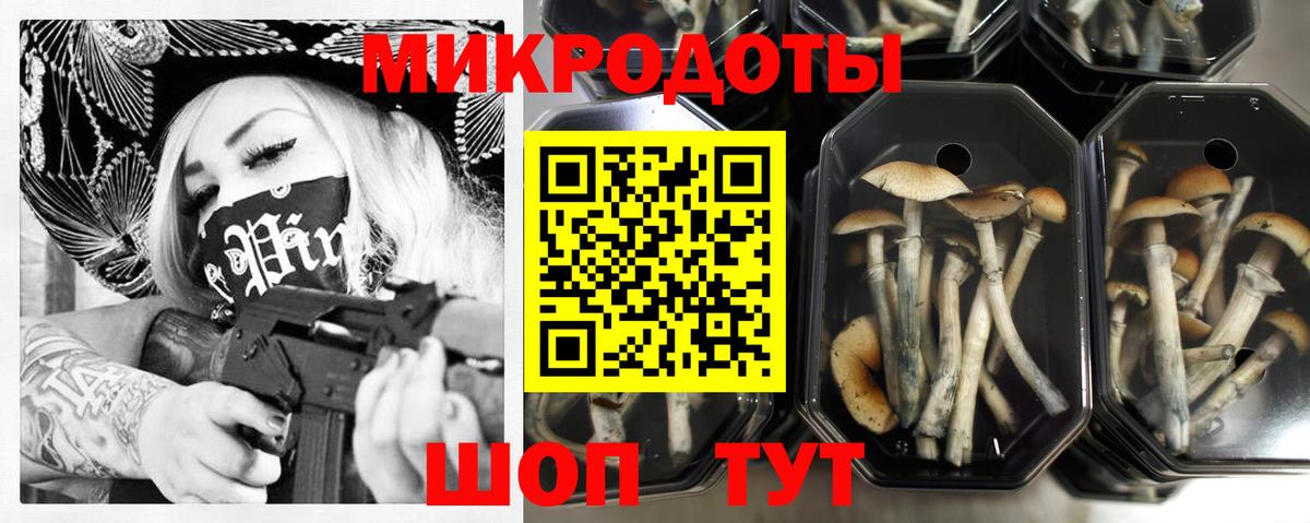 Галлюциногенные грибы Cubensis Ленинск-Кузнецкий