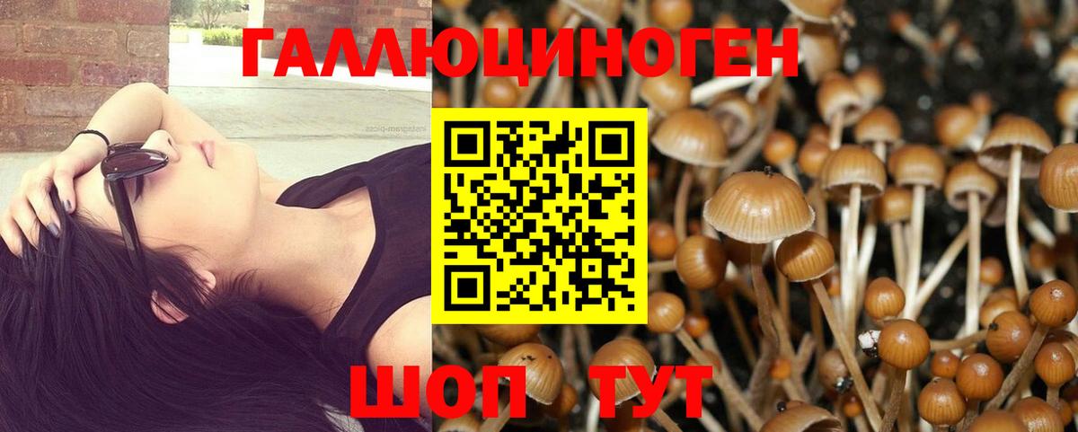 МАРИХУАНА  Вход с VPN  Мефедрон кристаллы  Ленинск-Кузнецкий  MDMA  Мефедрон  МЕТАМФЕТАМИН  Альфа ПВП СК кристаллы  Гашиш  Cocaine 