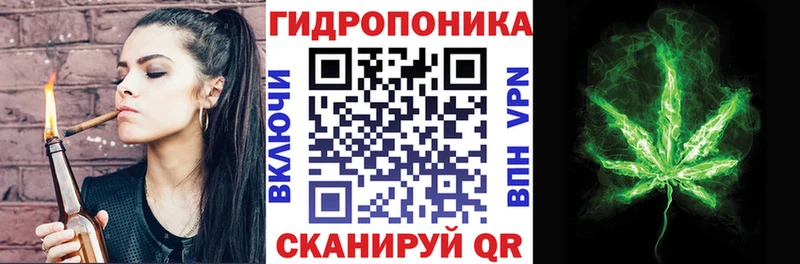 где найти наркотики  Ленинск-Кузнецкий  Каннабис тримм 